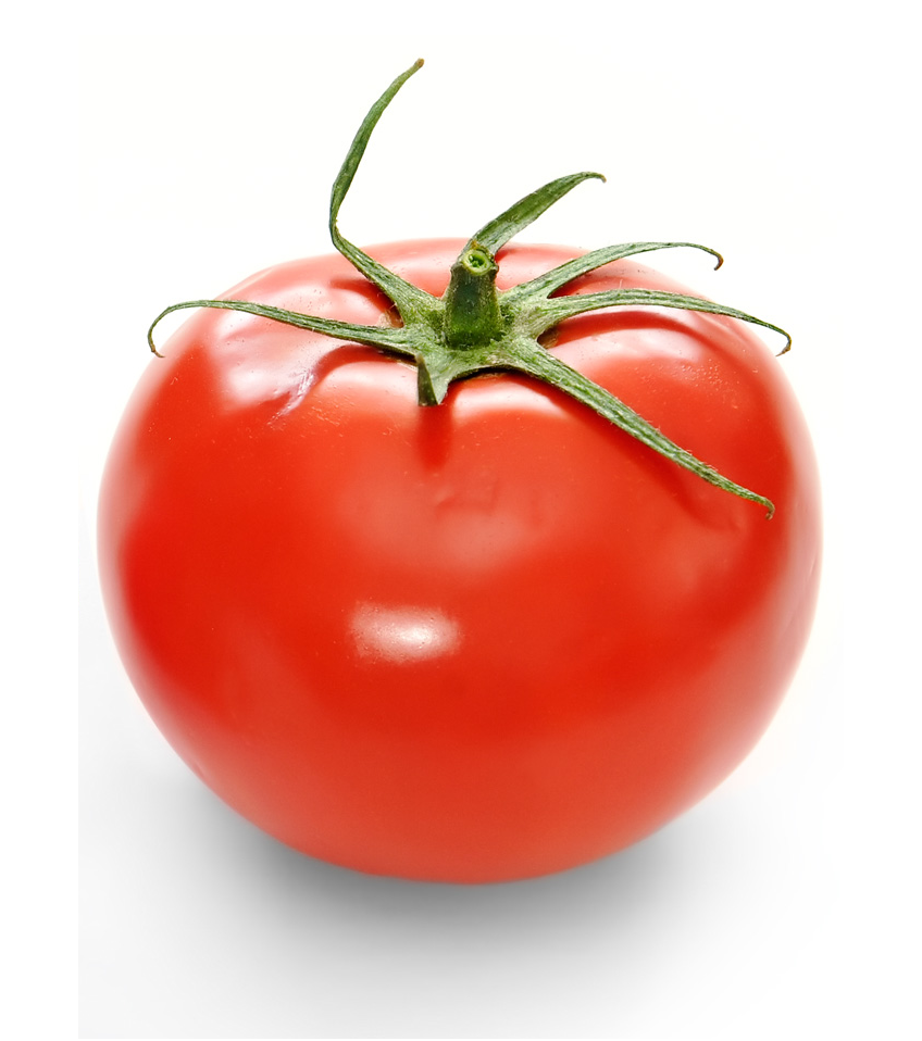 Petra F1, Tomate déterminée plein champ