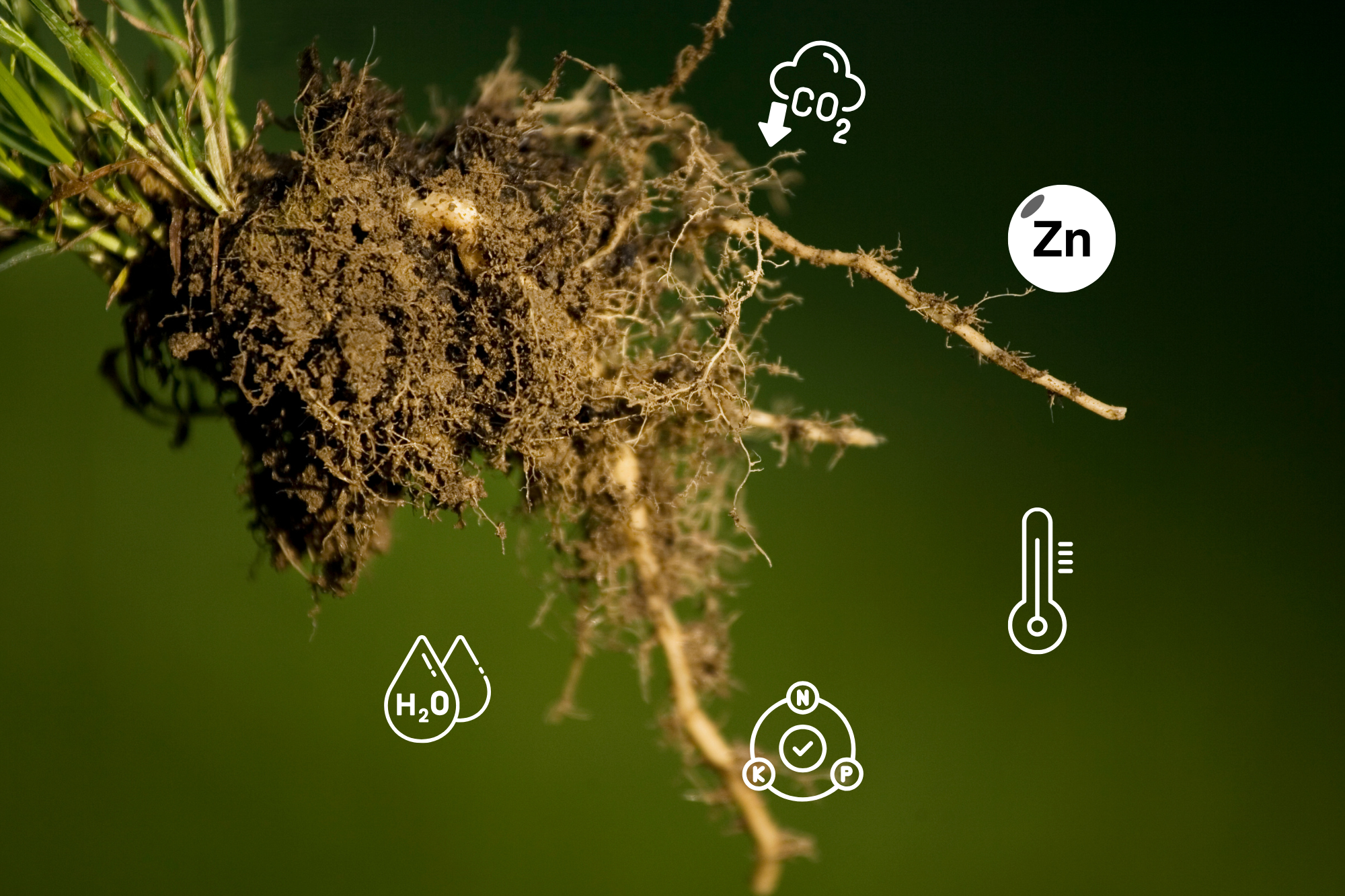 Fertilisants Fertilisants